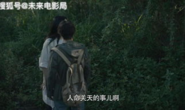 荒岛求生电视剧,逆境中的生存智慧与人性考验