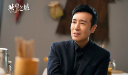 电视剧的演员,明星阵容演绎传奇人生